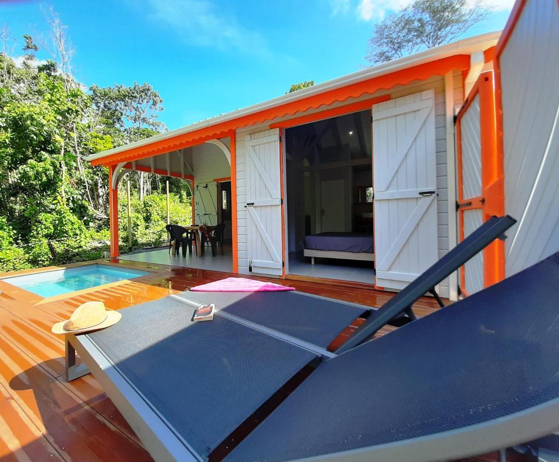 Caraibes Cottages Corail Piscine Privee A 900M De La Plage De Grande Anse Deshaies Bagian luar foto