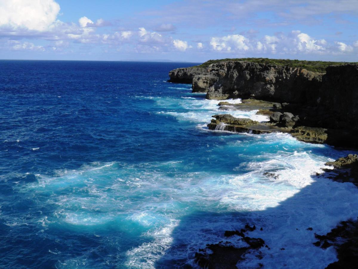 Caraibes Cottages Corail Piscine Privee A 900M De La Plage De Grande Anse Deshaies Bagian luar foto