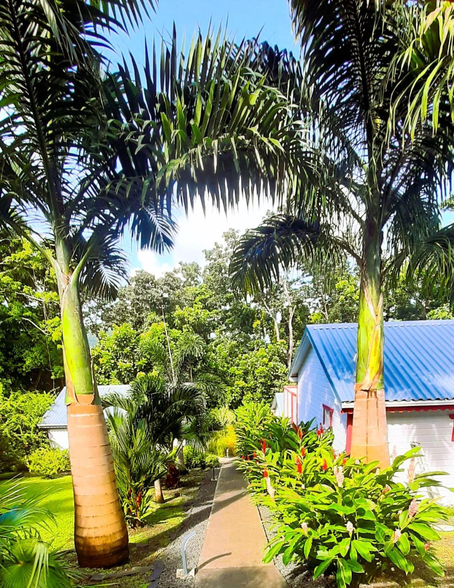 Caraibes Cottages Corail Piscine Privee A 900M De La Plage De Grande Anse Deshaies Bagian luar foto